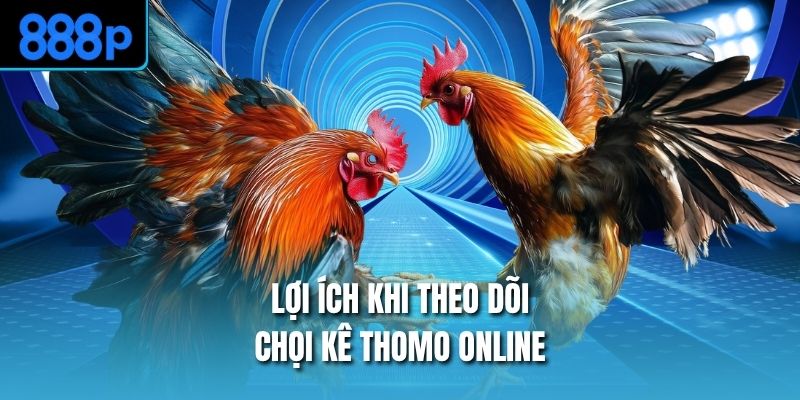 Lợi ích khi theo dõi chọi kê Thomo online